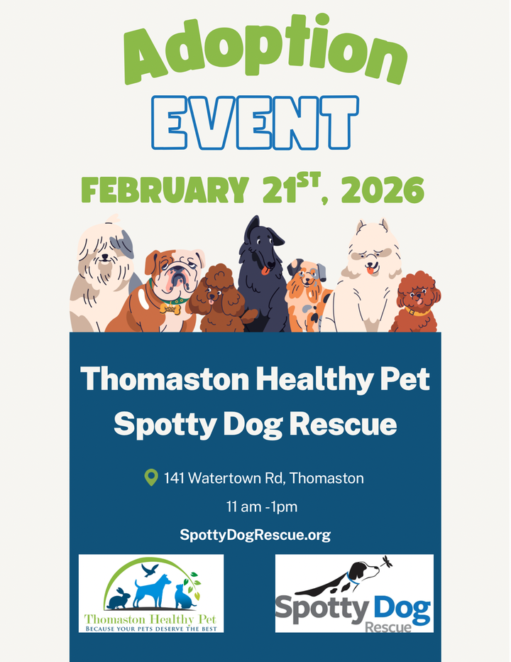 Adoption_02212026